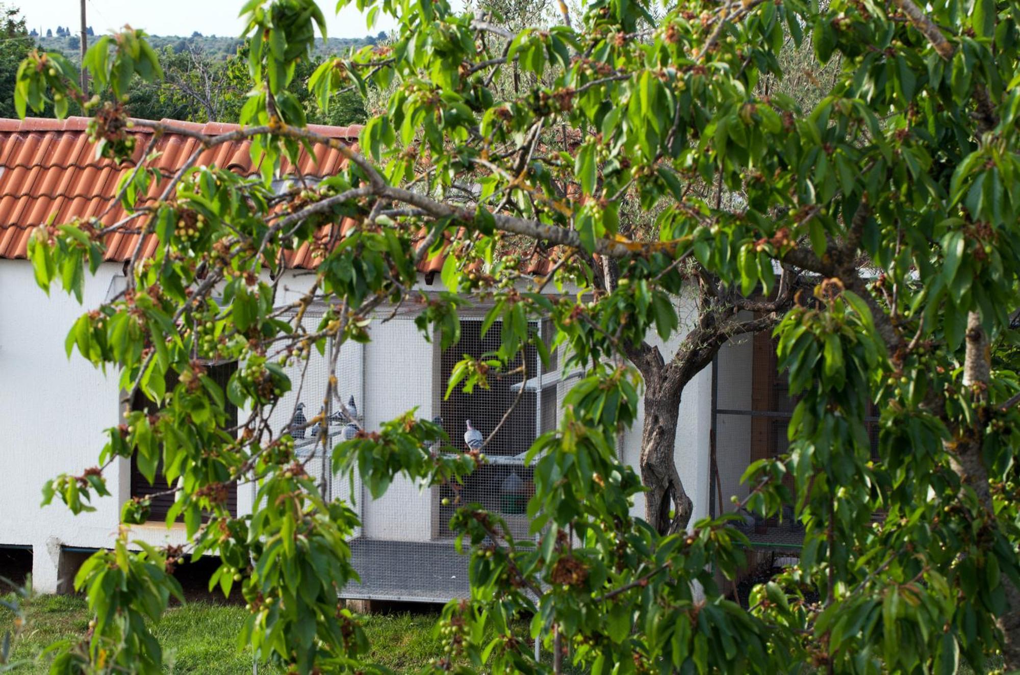B&B Moderno Fažana Стая снимка